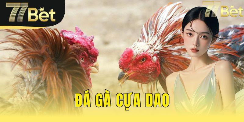 đá gà cựa dao